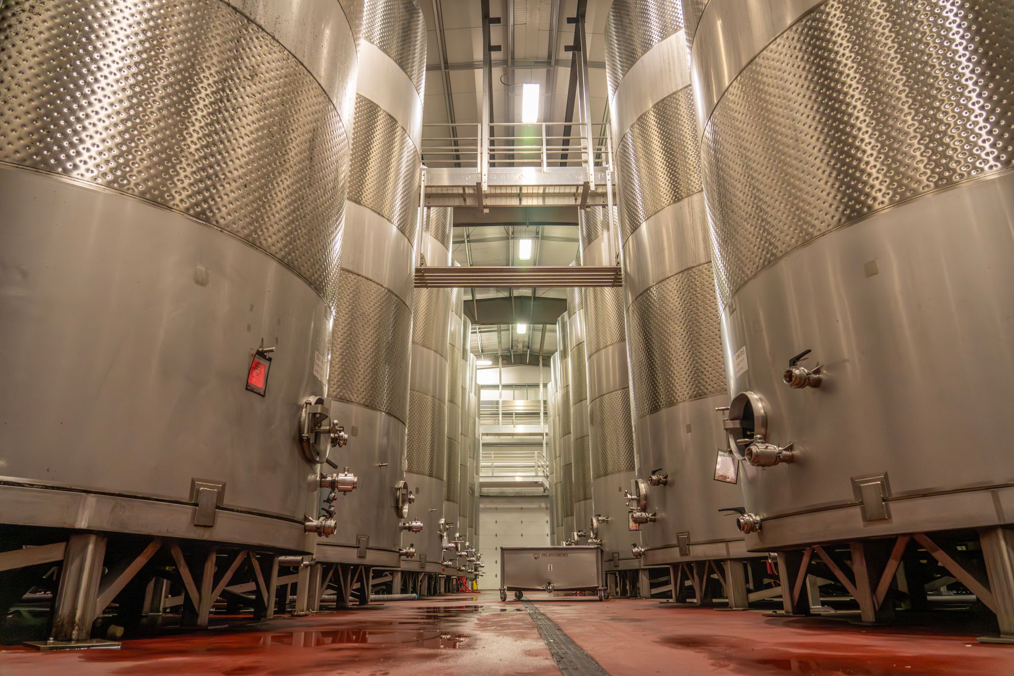 Real industrial fermentation hall with parallel stainless-steel vessels and access platforms